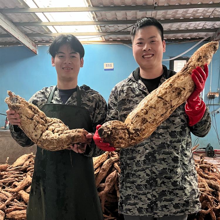 聚赢滋补养生专营店