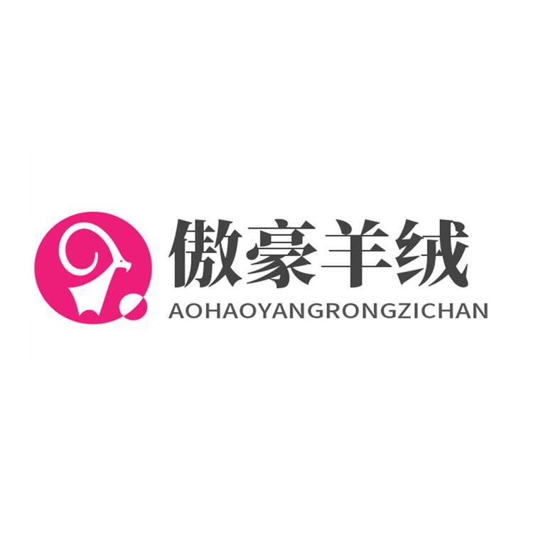 清河县傲豪贸易有限公司