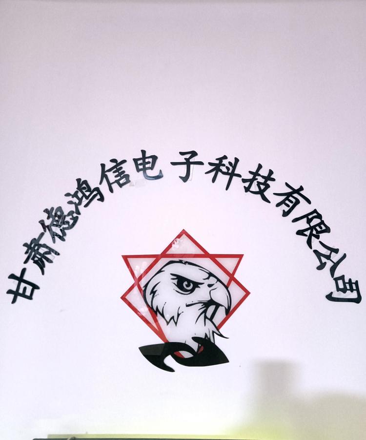 甘肃德鸿信电子科技有限公司的小店