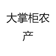 大掌柜的店