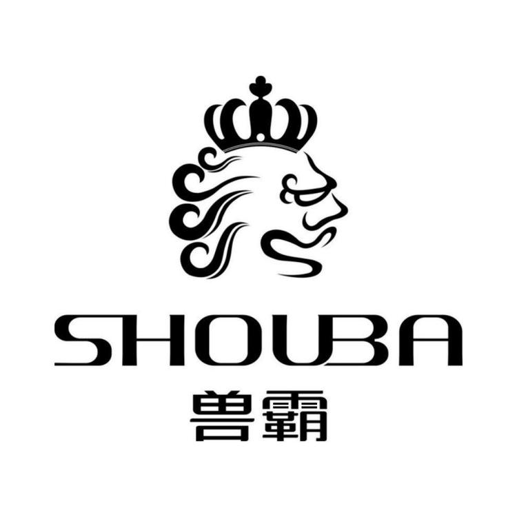 洪洞静姐品牌鞋销售店的小店
