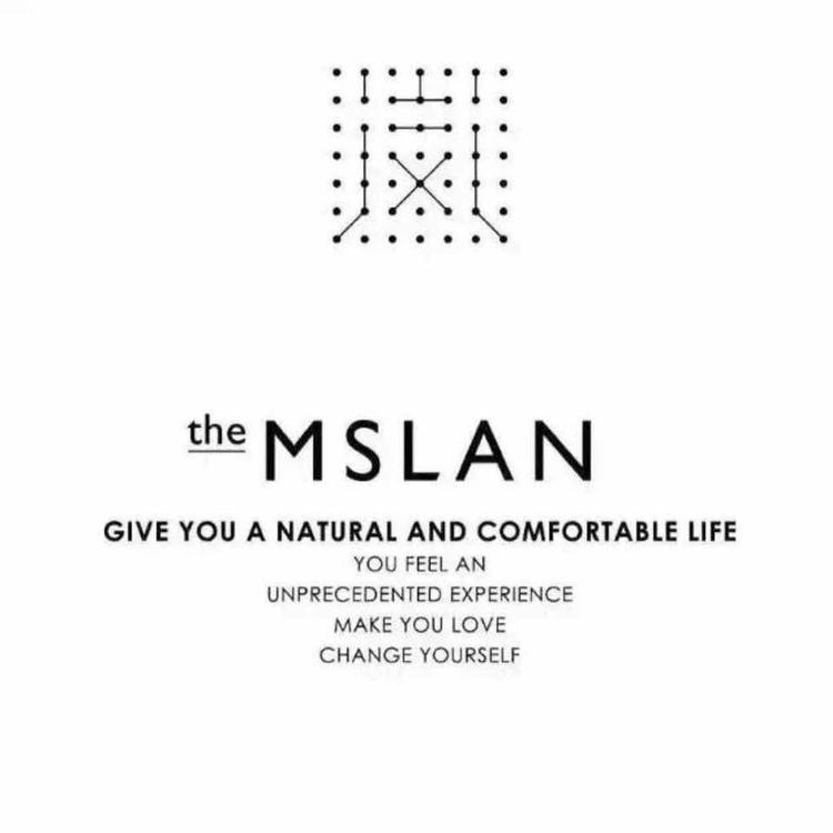 theMSLAN五彩店