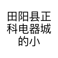 田阳县正科电器城的小店