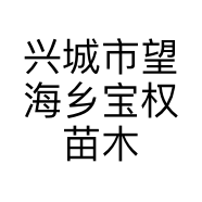 兴城市望海乡宝权苗木经销处的小店