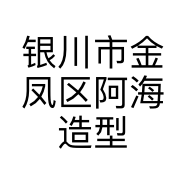 银川市金凤区阿海造型美发店