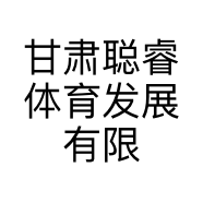 甘肃聪睿体育发展有限公司的小店