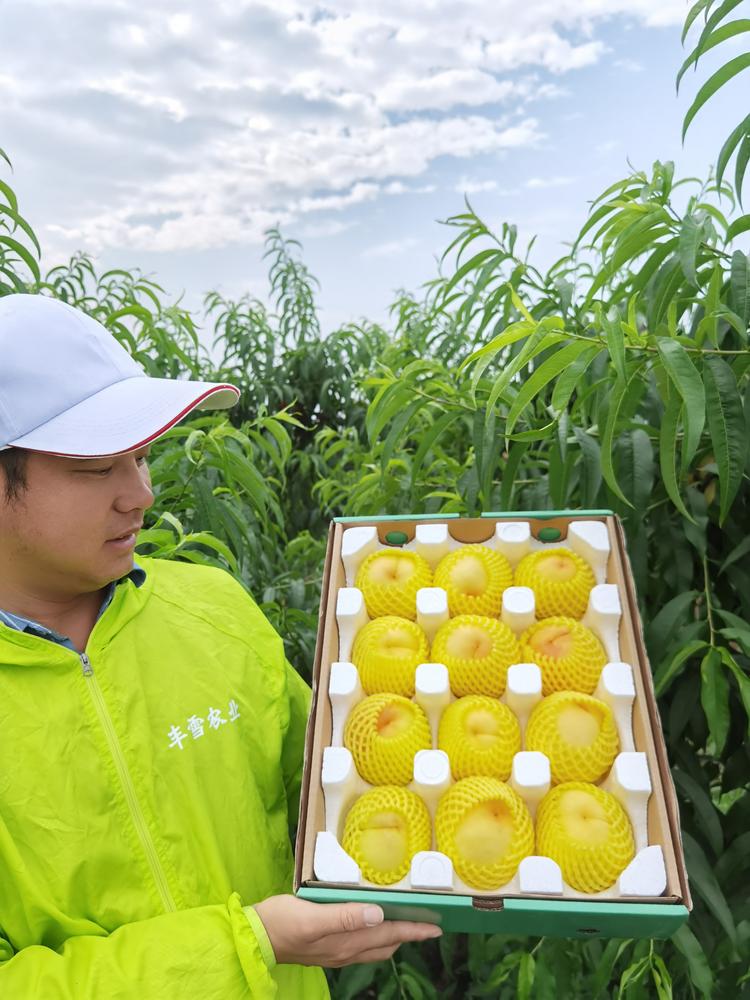 刚哥生鲜土特产