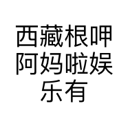 西藏根呷阿妈啦娱乐有限公司的小店