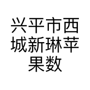 兴平市西城新琳苹果数码经销店的小店
