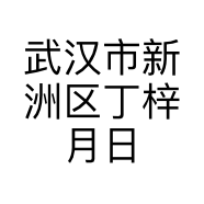 武汉市新洲区丁梓月日用品经营部的小店