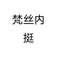 梵丝内挺