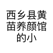 西乡县黄苗养颜馆的小店