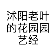 沭阳老叶的花园园艺经营部的小店