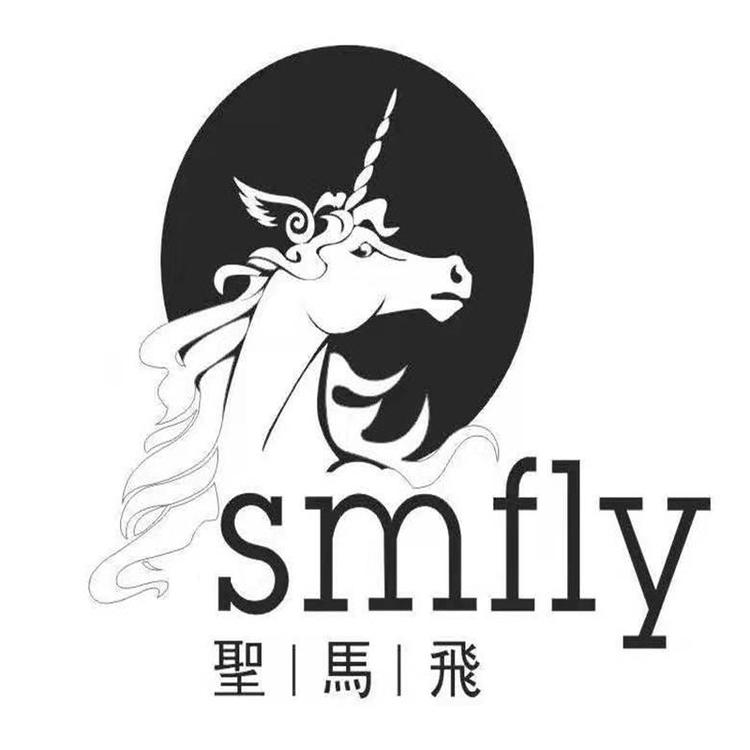 义乌市胜马飞工艺品有限公司