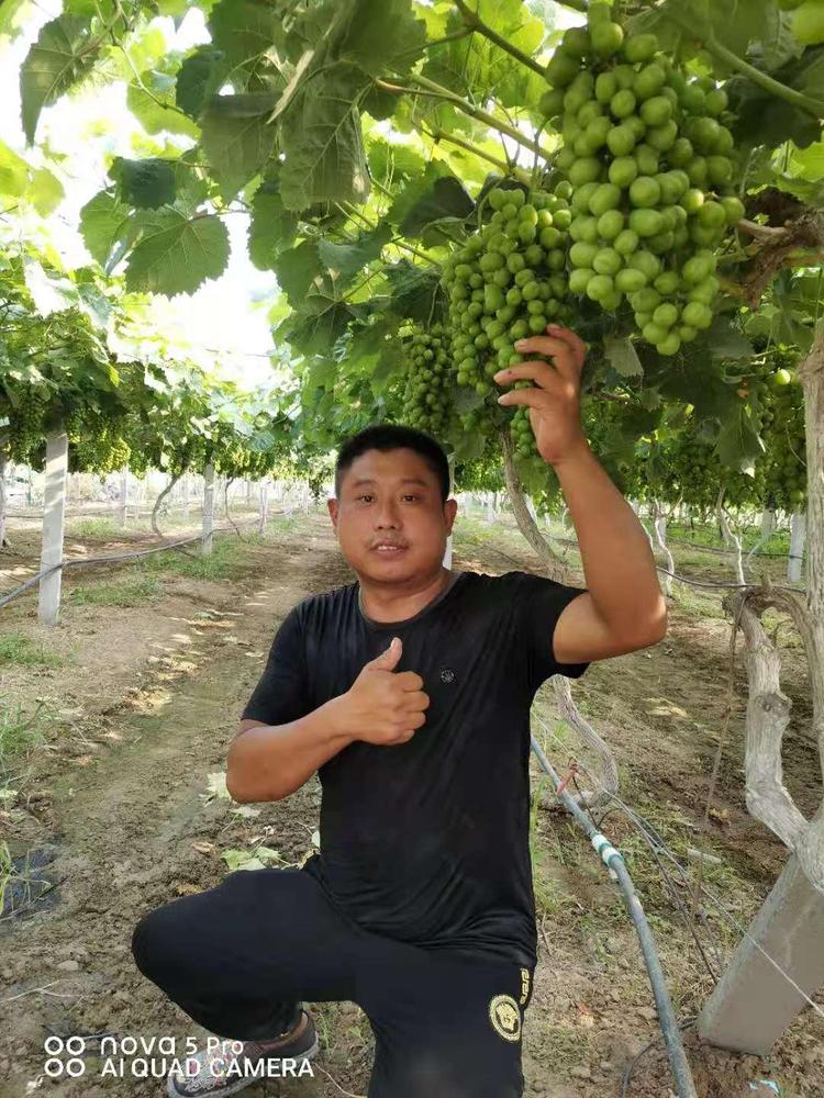 砀山县金牧源农作物种植专业合作社的小店