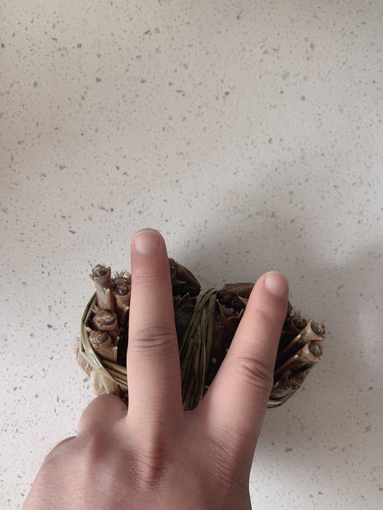 小师叔的小店