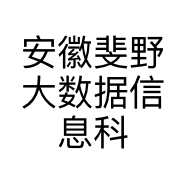 安徽斐野大数据信息科技有限公司的小店