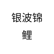 银波锦鲤