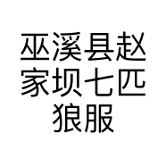 巫溪县赵家坝七匹狼服装销售店的小店