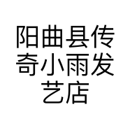 阳曲县传奇小雨发艺店的小店