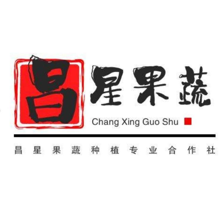 肥城市昌星果蔬种植专业合作社的小店