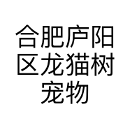 合肥庐阳区龙猫树宠物店的小店