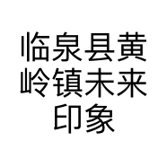 临泉县黄岭镇未来印象的小店