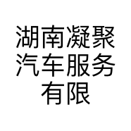 湖南凝聚汽车服务有限公司的小店