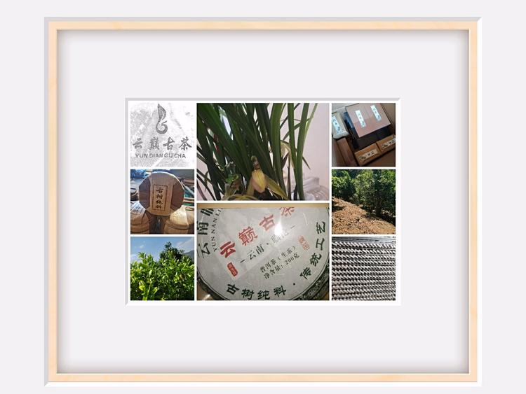 云县李家勇茶叶初制所的小店个体店