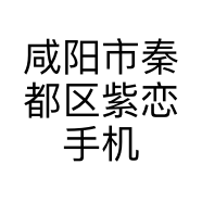 咸阳市秦都区紫恋手机批发店的小店