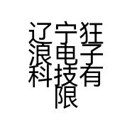辽宁狂浪电子科技有限公司的小店