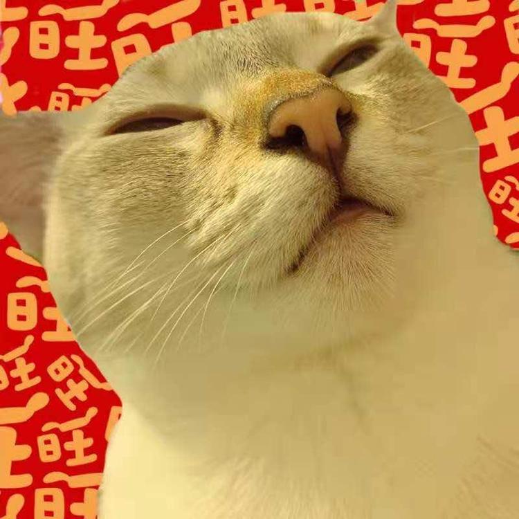 忘忧杂货店