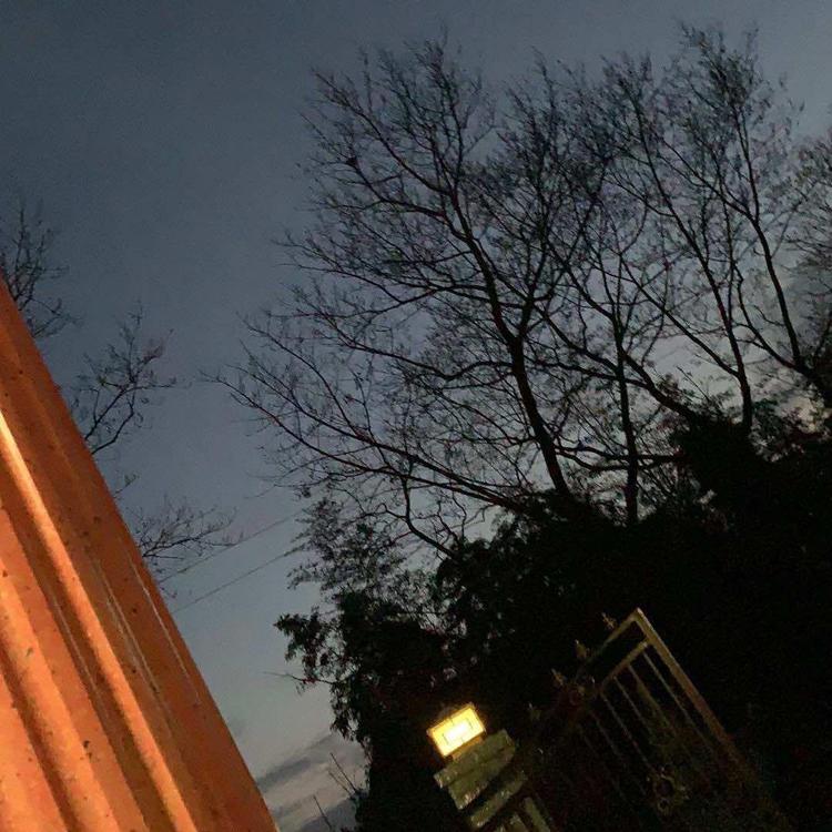 临澧县郑凯建材经营部的小店