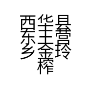 西华县东王营乡金玲榨油坊的小店